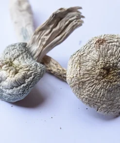 A+ magic mushrooms- premium psilocybin products displayed elegantly