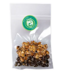Magic Truffles Dynamic Duo – premium Psilocybe truffle pack