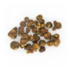 Magic Truffle Fantasia fresh psilocybin truffles displayed