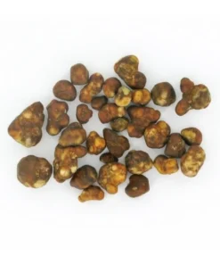 Magic Truffle Fantasia fresh psilocybin truffles displayed