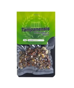 Fresh Magic Truffles Tampanensis – Philosopher’s Truffle