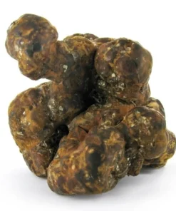 Buy Magic Truffles Utopia Online – Potent Psilocybin Experience