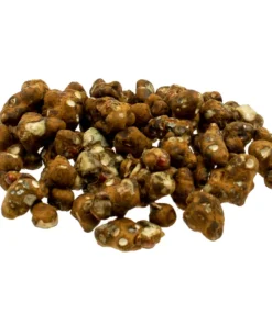 Close-up of Magic Truffles Mexicana – mild magic truffles