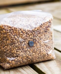 Sterile grain bag for mushroom cultivation – pre-sterilized substrate ready for inoculation” 1600kg
